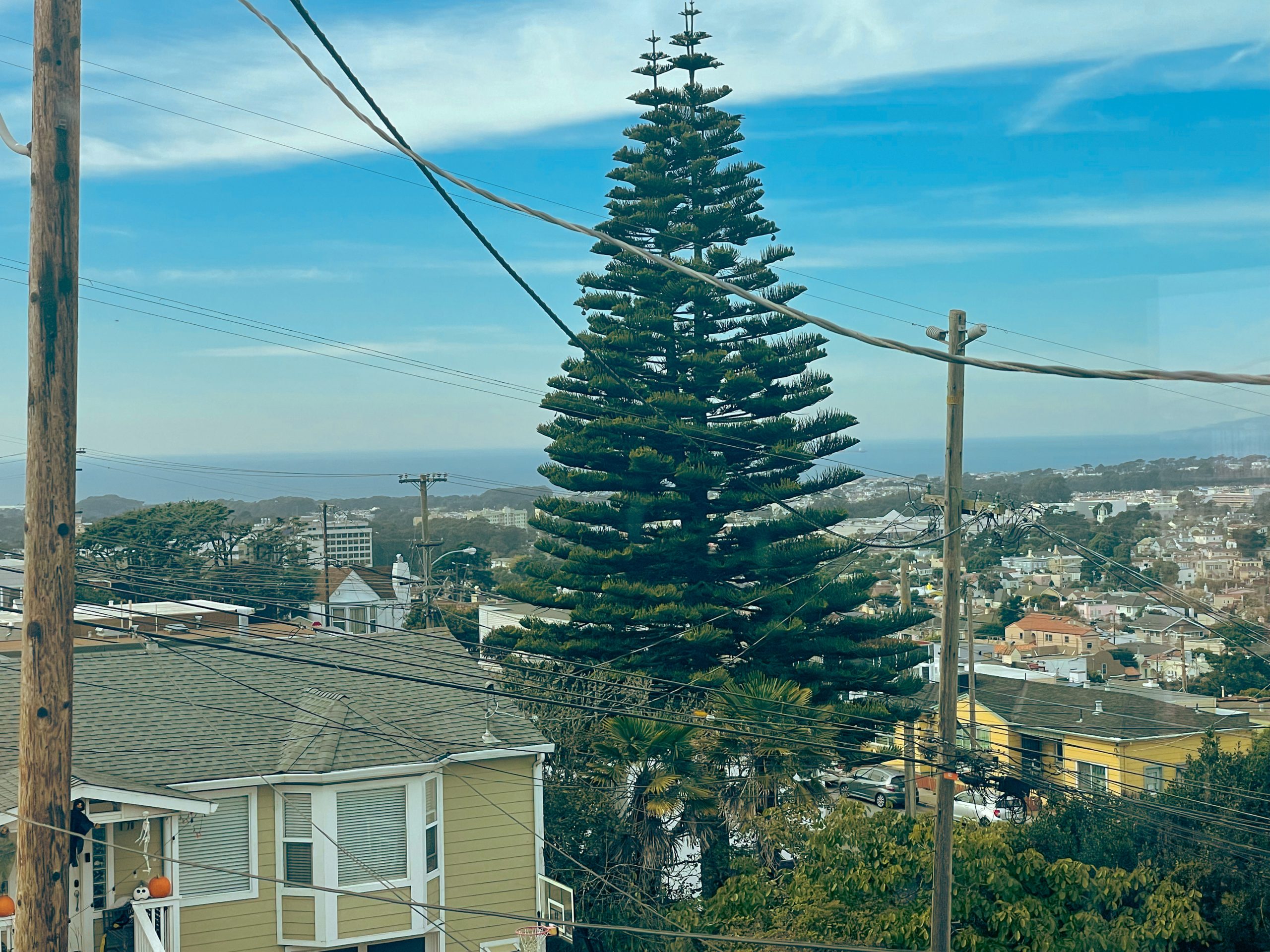 76 Ashton Ave — view 33